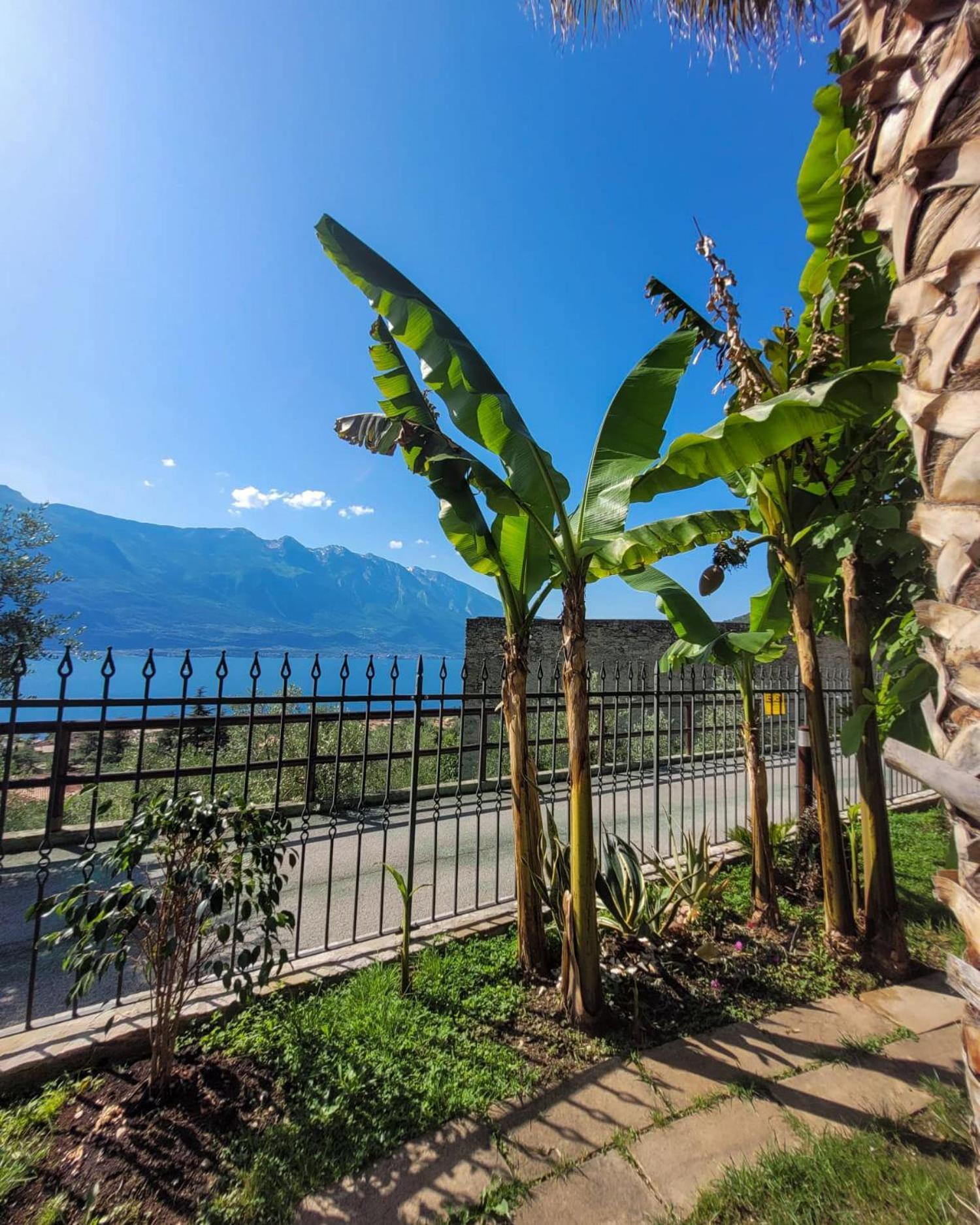 Villa Fior Di Loto Limone sul Garda Exterior foto