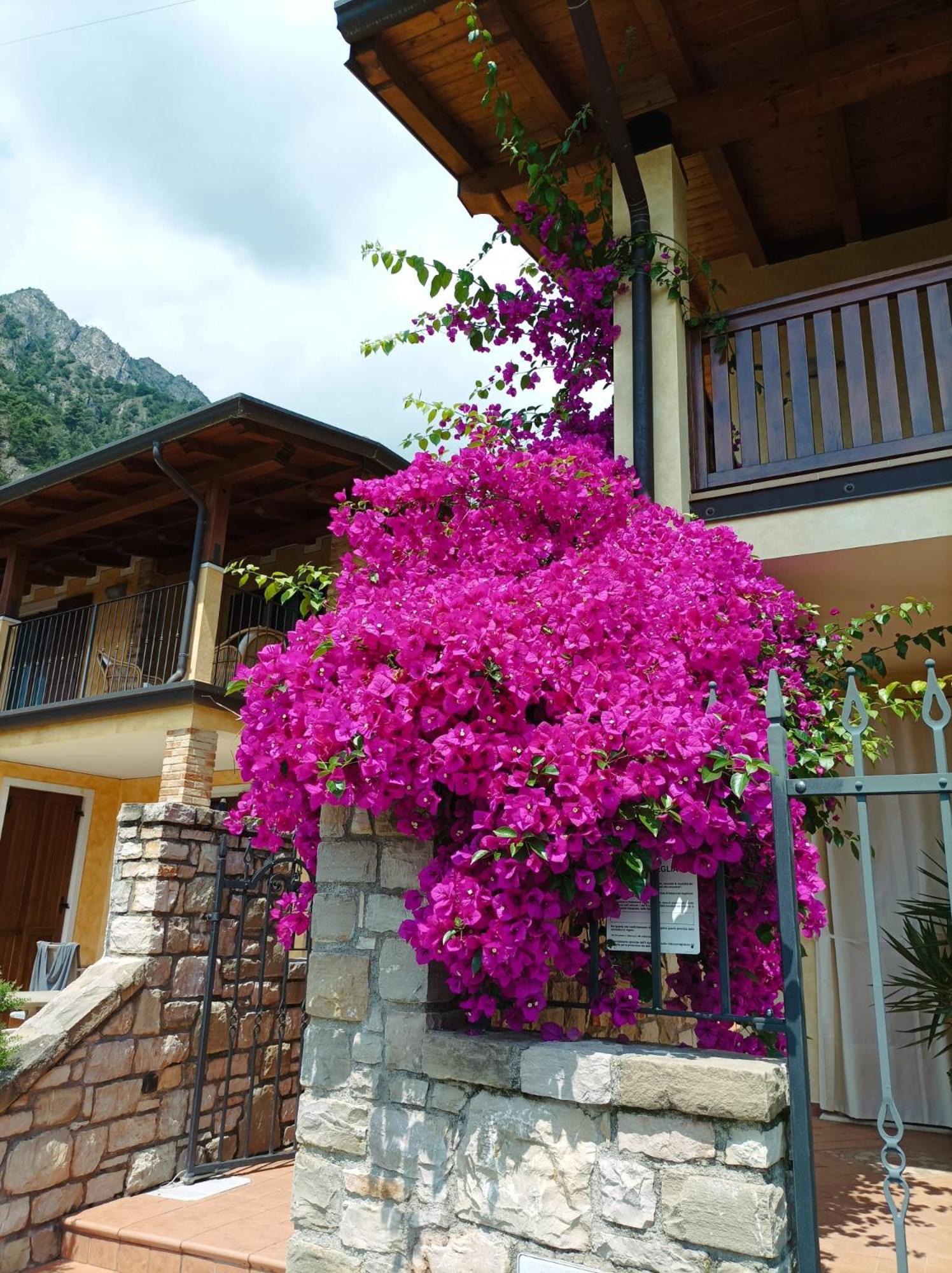 Villa Fior Di Loto Limone sul Garda Exterior foto